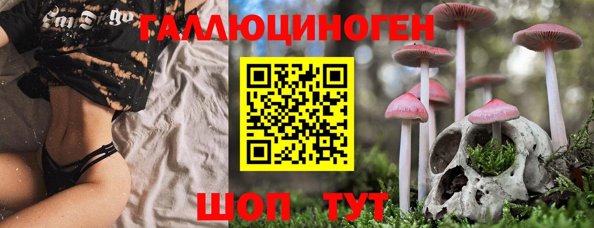 Псилоцибиновые грибы ЛСД Жигулёвск